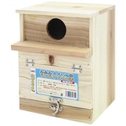 セキセイインコ巣