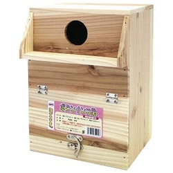 ボタンインコ巣