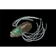 095050 [イケゼミ ゴーストミンミン]