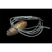 095098 [イケゼミ スモークハルゼミ]