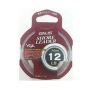 610614 [GALIS ショアリーダーFC 12Lb]