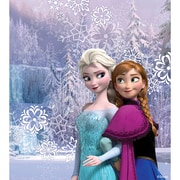PS Vita2000 Skin Anna and Elsa [PS Vita用 ドレスアップシール]