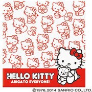 ハローキティ Lサイズ フエルアルバム プラコート台紙 ハローキティ40th ア-KTLP-140