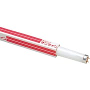 直管蛍光灯（スタータ形） サンライン 白色 6形 FL6W-B
