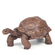 50161 WILD ANIMALS ガラパゴスゾウガメ