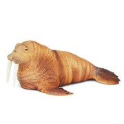 56014 SEA ANIMALS セイウチ