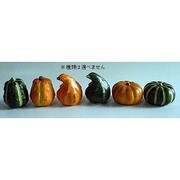 ハロウィングッズ カボチャMサイズ オレンジ・グリーンアソート