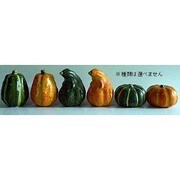 ハロウィングッズ カボチャLサイズ オレンジ・グリーンアソート