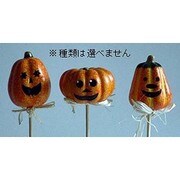 ハロウィン ピック A