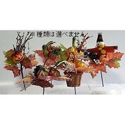 ハロウィン ピック B