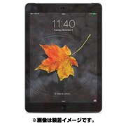 ドレスアップシール iPad Air Skin Haiku