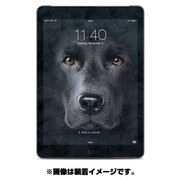 ドレスアップシール iPad Air Skin Black Lab