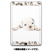 ドレスアップシール iPad Air Skin Lazy Days