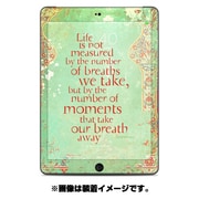 ドレスアップシール iPad Air Skin Measured