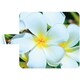 hcd6-006 [カウアイプルメリア HawaiianCollection iPhone 6/6s 4.7インチ用]