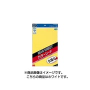 マグシート カラーシート（ツヤなし） ダブルサイズ ホワイト WBGE-W08-W