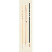 絵手紙入門筆3本組 PN/3V