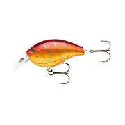 141744 [ストーム アラシスクエア5 6cm 18g ASQS05-868]