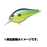 973373 [D スクエアクランク 55 セクシーサンBC]