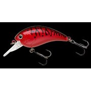093778 [SHOT OMEGA 53(ショット オメガ 53) 0.6m/12lb 39レイバンレッド]