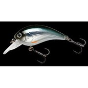 093822 [SHOT OMEGA 53(ショット オメガ 53) 0.6m/12lb 138ライブハス]