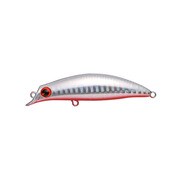 100094 [sasuke 75shad #SK75-010 レッドベリー]