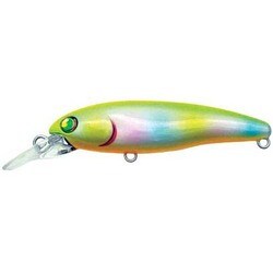 032582 [月虫 浮 F  H-C CANDY OR]