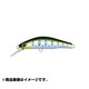 042192 [デンス 50US サケ稚魚]