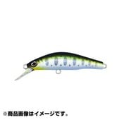 042192 [デンス 50US サケ稚魚]