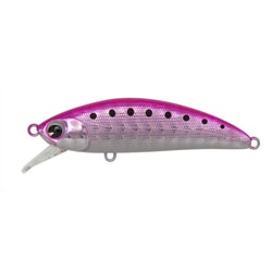 いわしページ ヨドバシ.com - アムズデザイン 141066 [スカリ50SS SaltTune