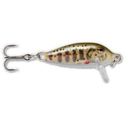 218229 [カウントダウン 5cm 5g CD5 GJTR]