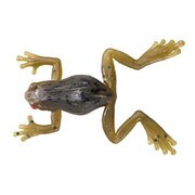 917691 [クリッタータックルノラガエル#07 アカメグリパンガエル 3.2cm 3.3g 3個入]