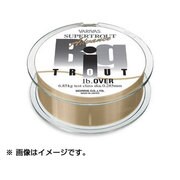 056382 [トラウトアドバンス ビックトラウト 150m 6LB]