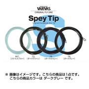 045850 [スペイティップ（オリジナル チャンジャブル シンクティップ） T8 9/10]