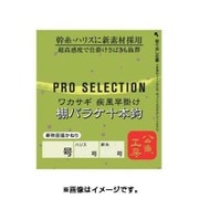045461 [VARIVAS プロセレクション ワカサギ仕掛け 疾風早掛け 棚バラケ 新秋田かねり十本鈎 1号]