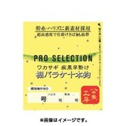 045485 [VARIVAS プロセレクション ワカサギ仕掛け 疾風早掛け 棚バラケ 細地袖かねり十本鈎 1号]