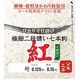 067951 [VARIVAS ワカサギ仕掛け 極細二段誘い 紅 新秋田狐かねり 七本鈎 1号]