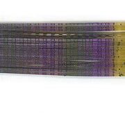 903588 [シリコンスカート　レギュラーカットデコボコ RD-116 ライトグリパンパープルFL]