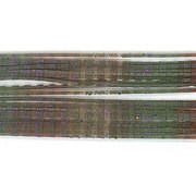 903649 [シリコンスカート　レギュラーカットデコボコ RD-122 レッドブラウングリーンパープルFL]
