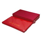 099954 [PA へらクッションPA-02 段差 メッシュ レッド]