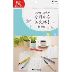 コツをつかんで今日から美文字！練習帳 DAW100-8