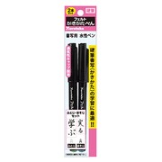 フェルトかきかたぺん 通気性 セリース 太字・細字セット EAL103-001