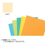 カラーペーパーM たまご KU100-943