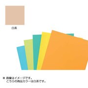 カラーペーパーM 白茶 KU100-964