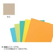 カラーペーパーM わら KU100-965