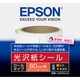 PF-70用 光沢紙シール ロールタイプ 60mm×2.2m K60ROLKS