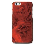 CBY-I6-072 [iPhone 6/6sケース RED ROSE]