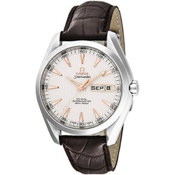 オメガ Seamaster AQUA TERRA CO-AXIAL （シーマスター アクアテラ コーアクシャル） 自動巻き メンズ 並行輸入品 5年保証 231.13.43.22.02.002