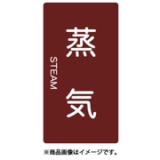 TPSSTTSS [配管用ステッカー 蒸気 縦 極小 5枚入]