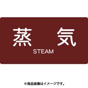 TPSSTYSS [配管用ステッカー 蒸気 横 極小 5枚]